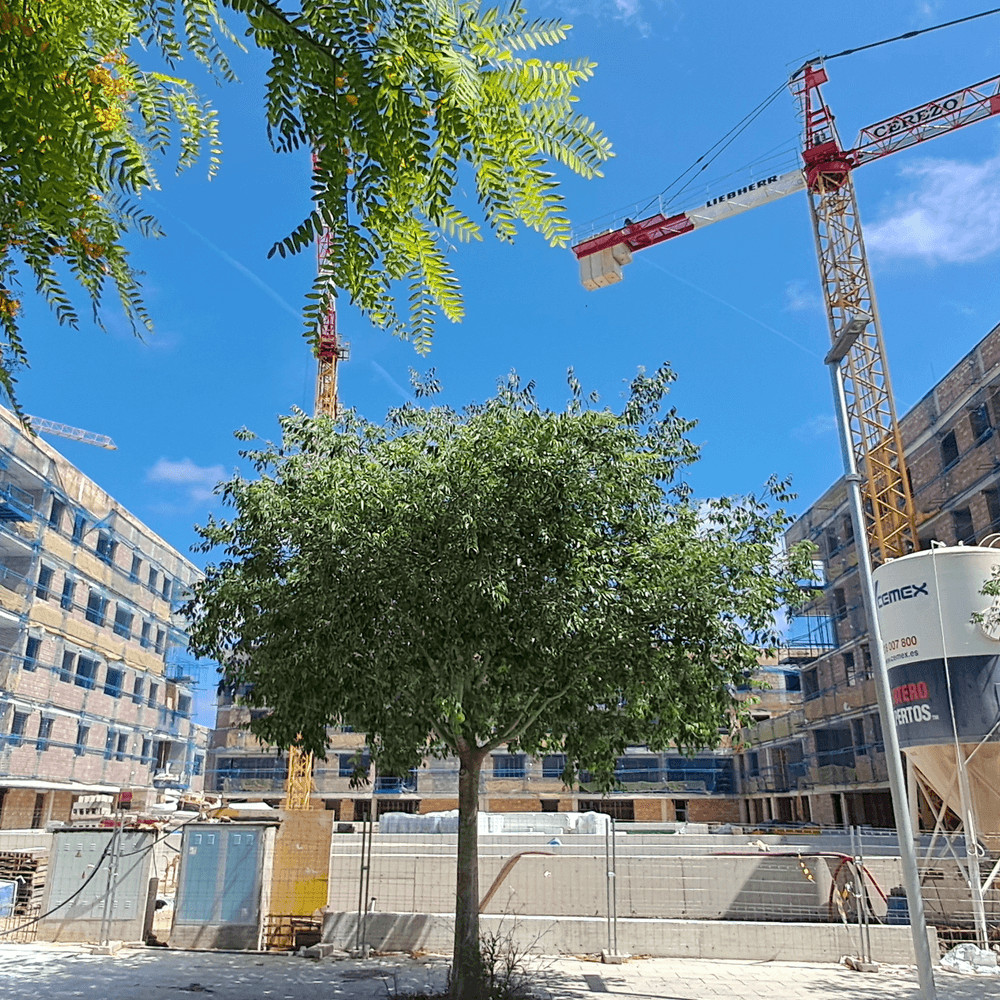 Aire De Llevant Metrovacesa aire-de-llevant-metrovacesa