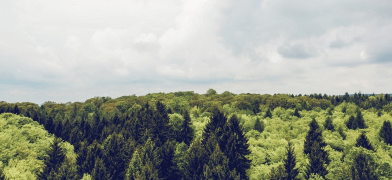 Neutrality and climate adaptation