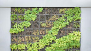 jardines verticales para una casa sostenible