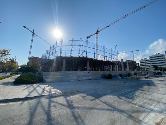 9303434_0032-11f1-a330-005056bd5094_Abelia_Alicante